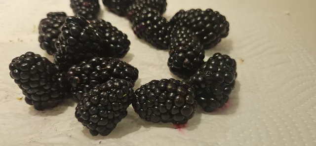 Sausen består av bjørnebær (59 kroner for en håndfull bær, jaja det er fredag bare en gang i uken)