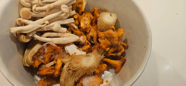 En herlig blanding av skogens frukter. Selvplukket kantareller får følge av litt butikk-kjøpt østerssopp og Shimeji sopp (kjøpes i butikken som "Soppblanding til risotto eller gryte")